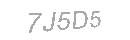 Güvenlik Kodu