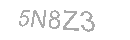 Güvenlik Kodu